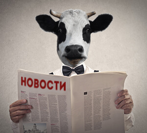 24.03.25 в 11.00 в учебном классе состоится заседание комиссии по противодействию коррупции